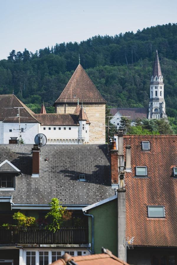 Le Duplex Vaugelas Atypique En Plein Centre Ville Annecy Bagian luar foto